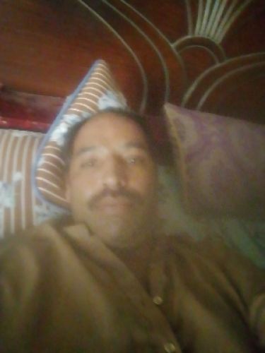 Riaz Ali