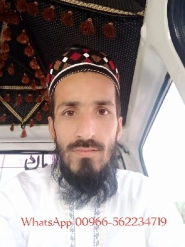 Faiz Alam