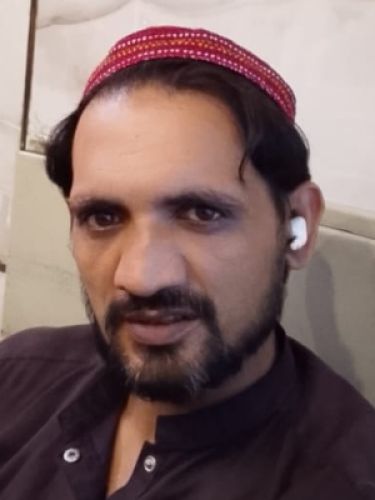 ارشد ارشد